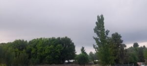 20251107_075406