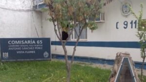 COM 65