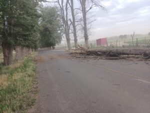 IMG-20251120-WA0041