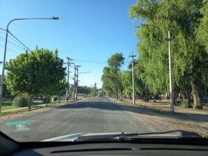 IMG_20251114_080759