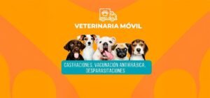 VETERINARI