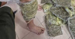 marihuana en el cuerpo