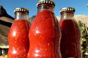 salsa