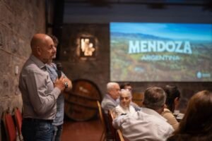 mendoza manso