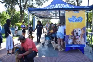 vete-plaza-8