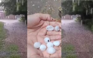 GRANIZOO