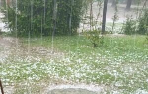 GRANIZOOO