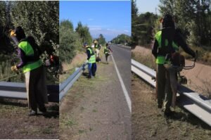 LIMPIEZA RUTA 40234