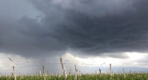 pronostico foto 1