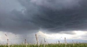 pronostico foto 1