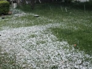 tormenta foto 2