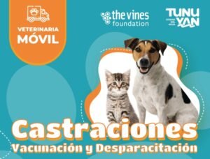 castracionessss