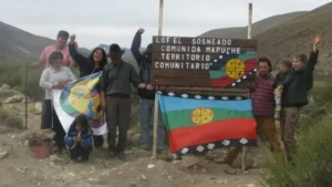 El-Sosneado1