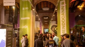 Mendocann-2025-1200x669