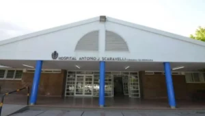 antonio-scaravelli_732_1296