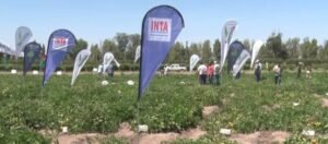 dia-de-campo-1
