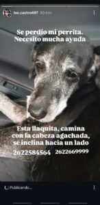 gretel