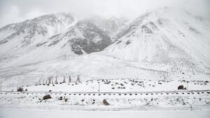Nevadas-2-700x394