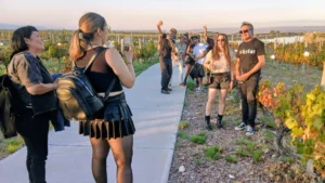 wine-rock-sessions-turismo-y-experiencias