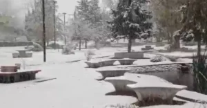 nieve-el-manzano-historico