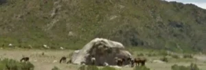 6984a513799b7-min-height550px-and-max-height800px_1024_350!