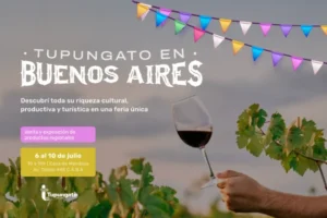 Tupungato-en-Buenos-Aires-660x440