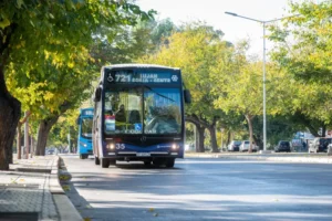 transporte-publico-colectivo