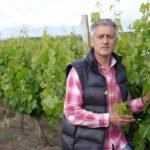 Del auge de las manzanas al vino y la horticultura: cómo cambió la producción del Valle de Uco