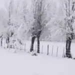 La nieve sorprendió al Valle de Uco en plena primavera