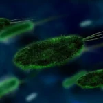 Brote de meningitis posquirúrgica en Mendoza: investigan el origen de cuatro casos y dos muertes