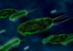 bacterias-virus-pixabay-270423